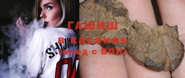 прущие грибы Новодвинск
