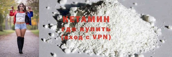 прущие грибы Новодвинск