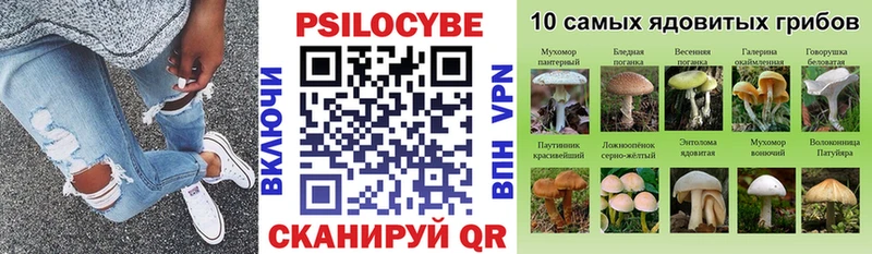 где можно купить   Салехард  Псилоцибиновые грибы MAGIC MUSHROOMS 